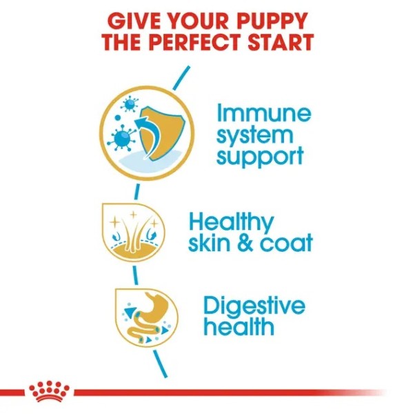 Royal Canin Golden Retriever Puppy - Суха храна за малки кученца от порода Голдън ретривър
